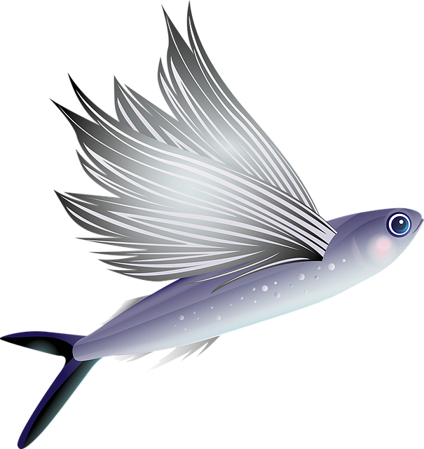 Symbolika létající ryby ve snách: Jaké jsou nejčastější interpretace?
