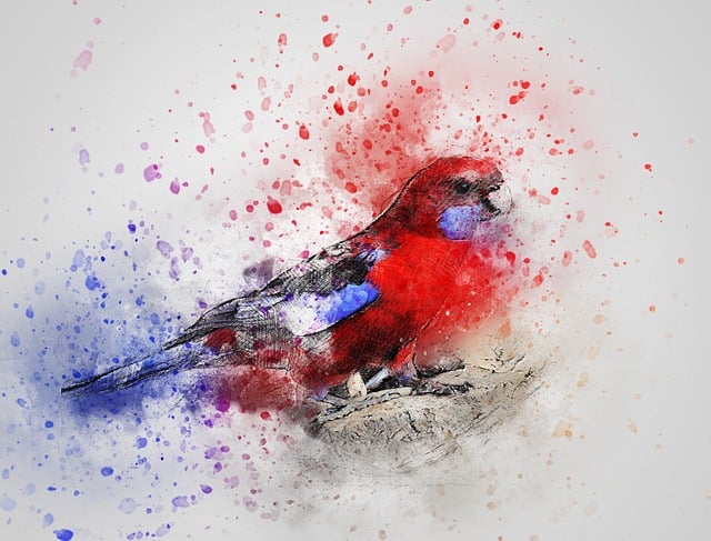 Odhalte význam karmínové barvy ve snáři