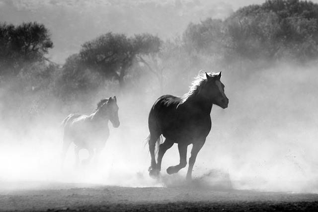 Jak snář koně může‍ pomoci v odhalování skrytých významů snů?