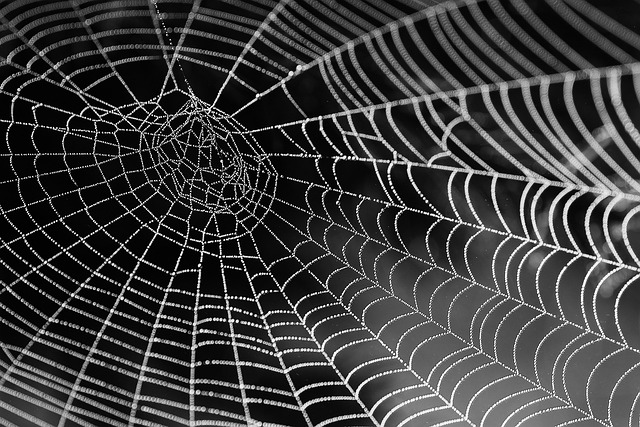 Rozhlédnutí⁣ se do minulosti: Pavouci ve snářích našich předků
