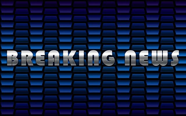 Nejnovější snář hřiby 2021: Výklad spánkových snů a jejich významu!