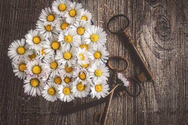 - Vyjasnění symboliky snů podle českého snáře