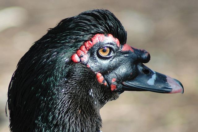 Jak tvoje sny odrážejí tvé podvědomí?