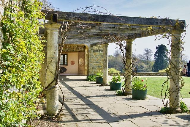 7. Rozšíření snů o ztraceném autě: Rozhovor s odborníkem