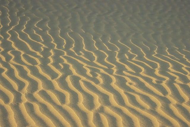 Vliv kvality a barvy psích chlupů na výklad snu