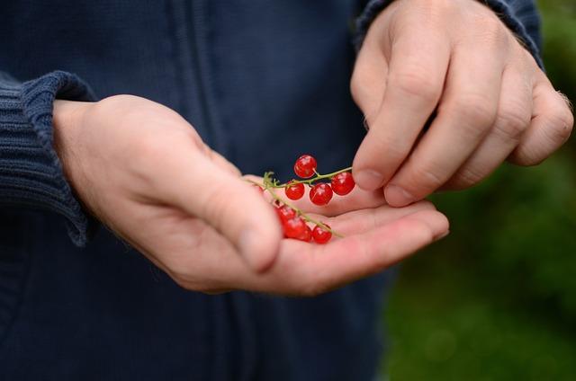 - Důležité⁤ kroky při dešifrování snů při adopci