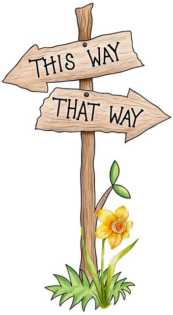 - Průvodce interpretací snů pro nováčky