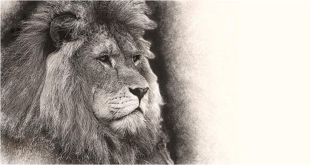 2. Symbolika úmrtí blízkého: Co může znamenat sen o smrti známého?