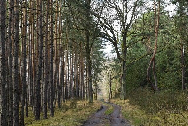 Nový způsob, jak dešifrovat své sny: Jak používat nemoc snář k odhalení skrytého významu vašich snů