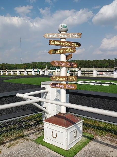 Pokyny pro vedoucí interpretaci snů pomocí snáře