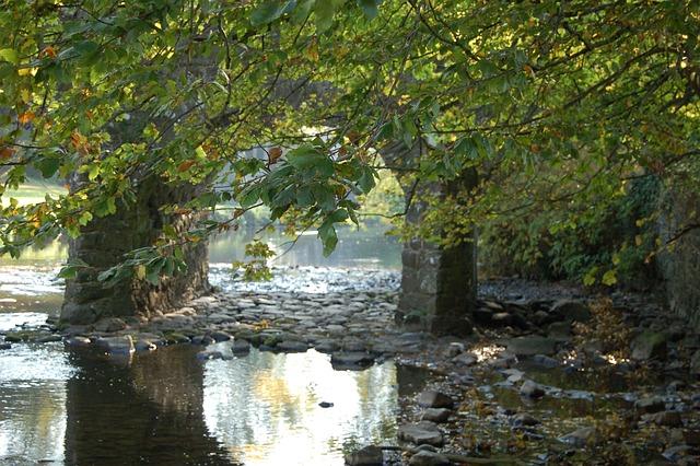 Důvody proč se můžete zdát o mafii