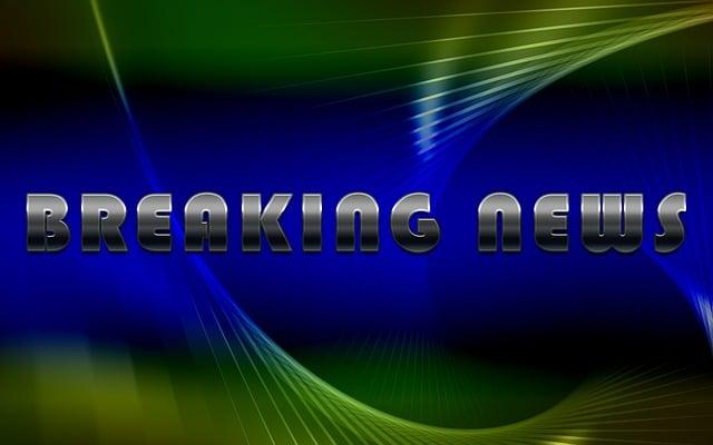 Nejnovější trendy ve světě moderního snáře