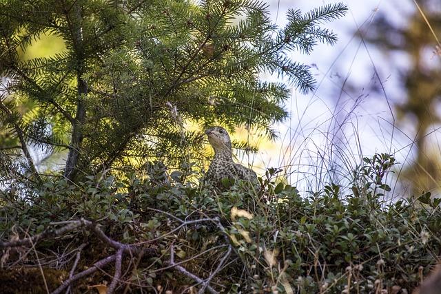 Skrývání těla ve snu: Možné významy a interpretace