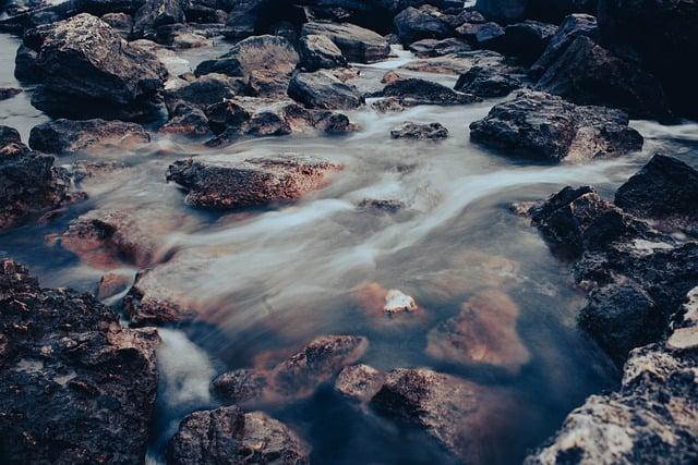 6. Průzkum spojení mezi delfíny a vaším psychickým zdravím ve snu