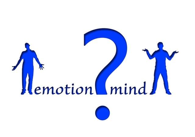 Rozhodování na základě pracovních snů