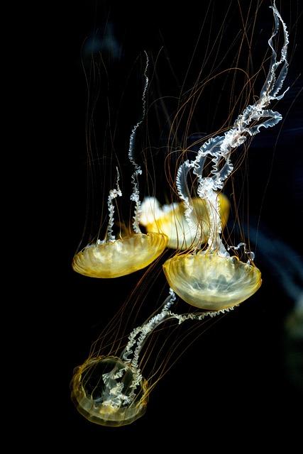 - Vliv kvality spánku a životního stylu na náš snežní život a snežení o objetí