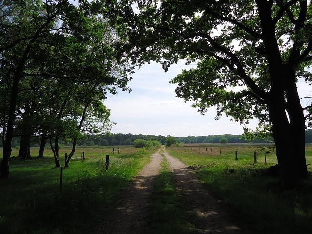 Co je to postel snář a jak funguje?