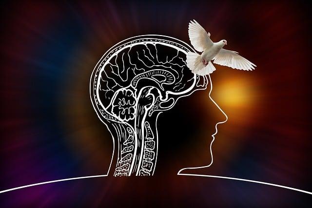 - Jak rozumět a interpretovat sny pomocí českého snáře vaculík