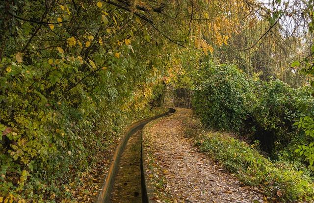 - Způsoby jak zachytit a zaznamenat své sny pro pozdější analýzu a výklad