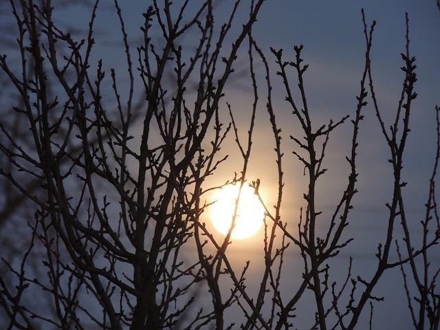 Skrývání těla ve snu: Co představuje tento symbol?