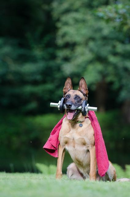 Tipy a triky od odborníka na interpretaci snů