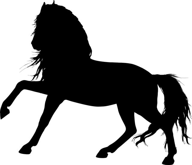 Oblíbené kombinace symbolů ve snáři sako a jejich význam