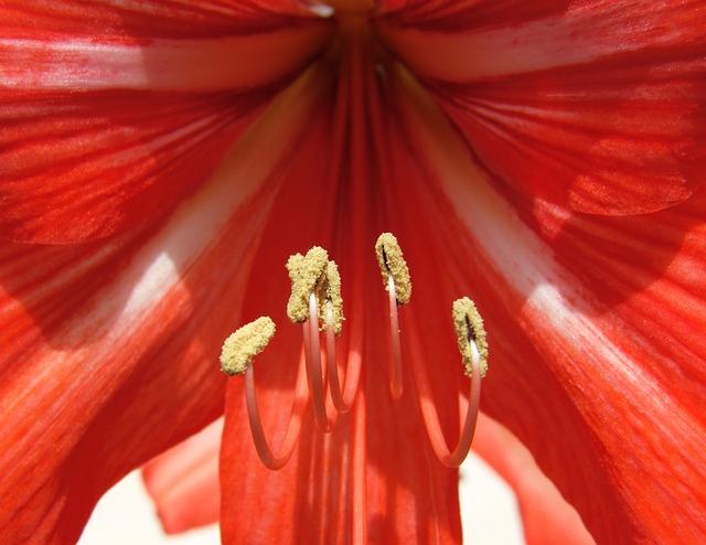 Které kroky můžete podniknout k lepšímu porozumění vašim snům?