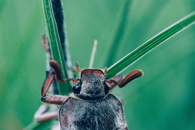 Možná významy setkání s hadem ve snu