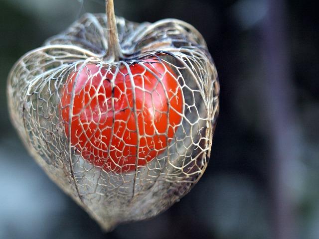 - Reálné příklady úspěšných výkladů snů online