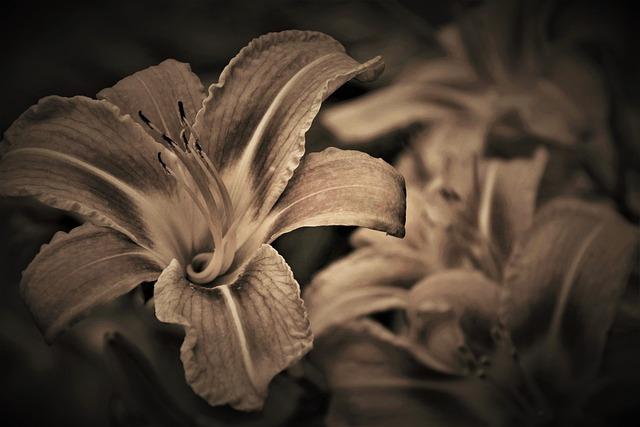 8. Následné kroky: Jak se vyrovnat se stresem způsobeným tímto snem?