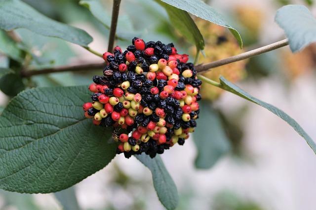 Zajímavé fakty o snění a interpretaci snů