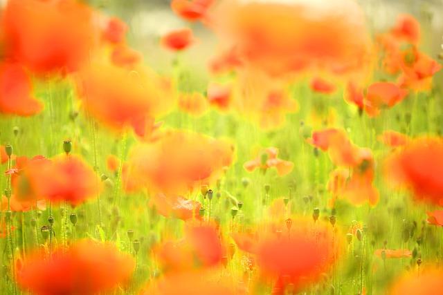 8. Důkladná ‍analýza spojení‍ snů s reálným​ životem