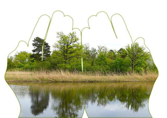 7. Podvědomé obavy: Jaké skryté obavy může takový sen odhalit?