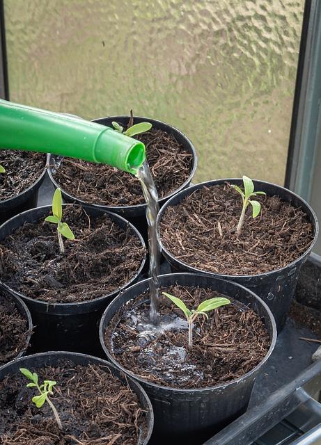 Raději se poradit s odborníkem na výklad snů o botách?