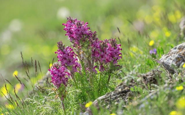 Mít tohoto druhu snu: je to normální a co může znamenat pro vaše podvědomí?
