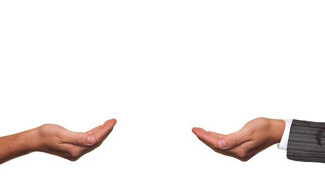 Vezměte v úvahu kontext svého snu o želvě