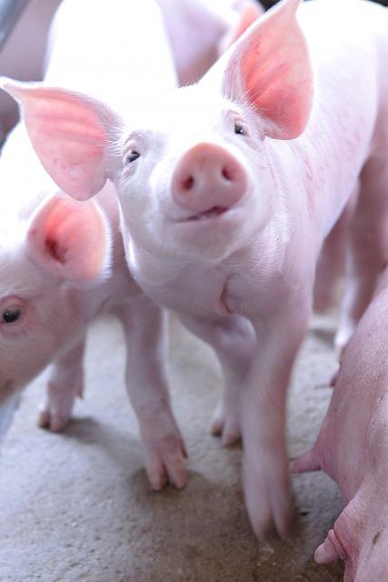 Zjistěte, co vám vaše sny o autonehodě chtějí sdělit – Jak vám pomůže snář“ – Seznamte se se záhadami vašich myšlenek