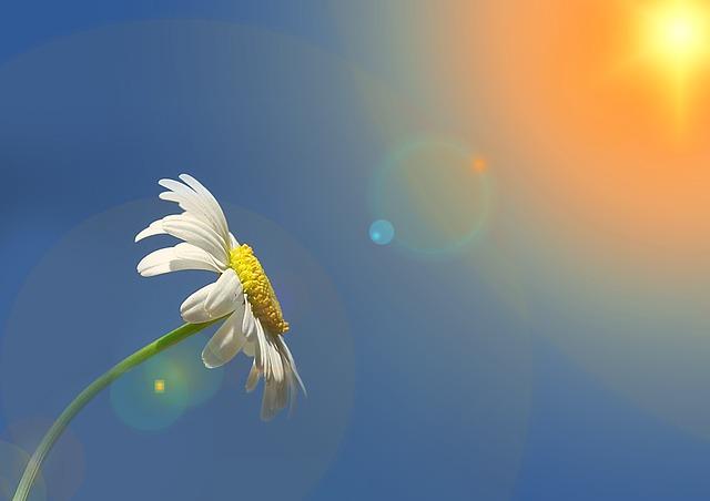 Kdy je dobré si psát sny o ovoci a jak je interpretovat