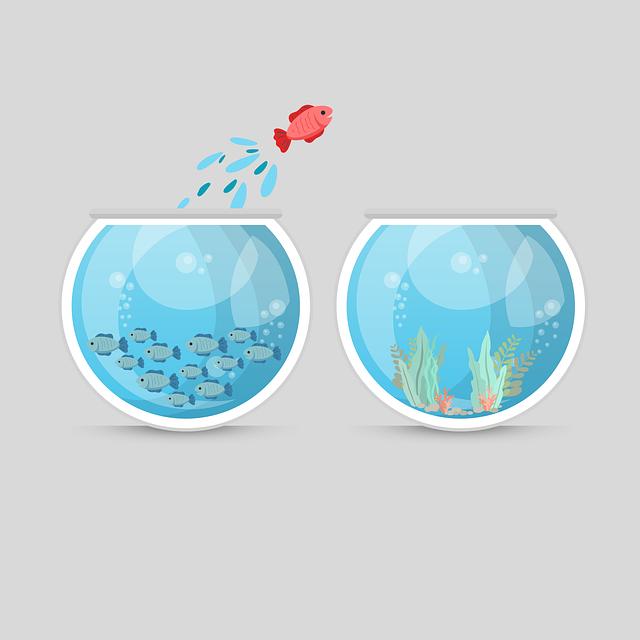 Jak odlišit obyčejné sny od významných a poslouchat vlastní podvědomí