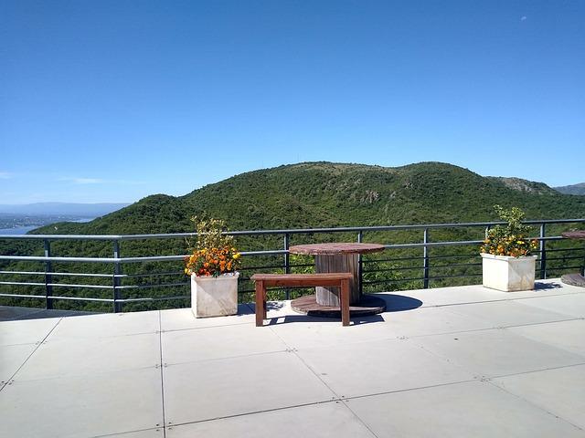 Nejpopulárnější květiny a jejich významy ve snovém světě