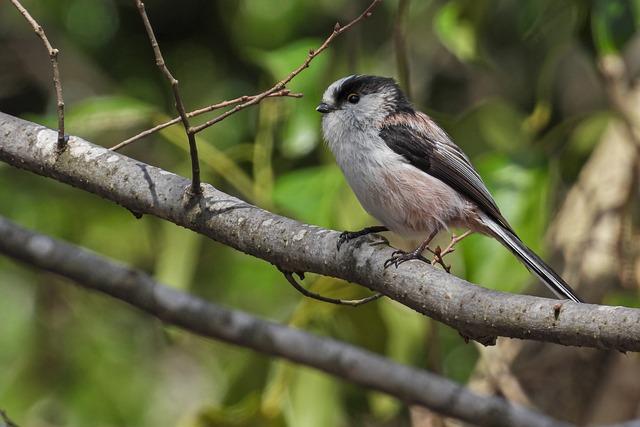 - Sny jako průvodce vaším životem: Jak se naučit poslouchat jejich moudra