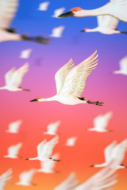 Vliv snů o rudých vlasech na naše každodenní rozhodování a chování