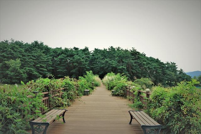 Jakým způsobem může výklad snu pomoci v osobním růstu?