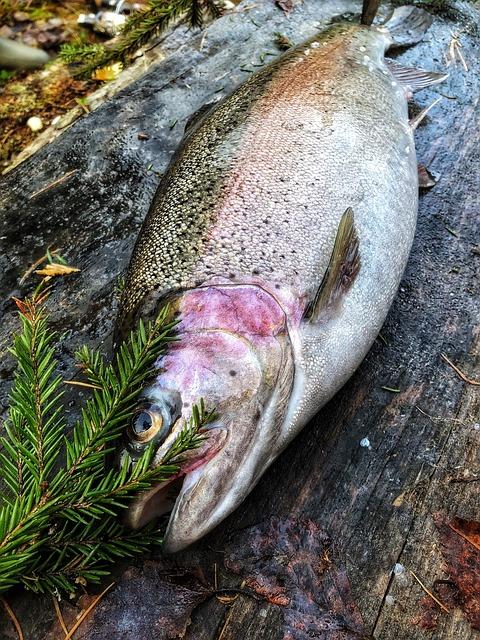 Tipy pro vysazení snáře jako profesionál