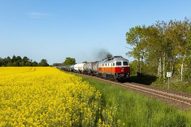 Specifické příklady, jak může snář o esencí vesely pomoci s dešifrováním snů