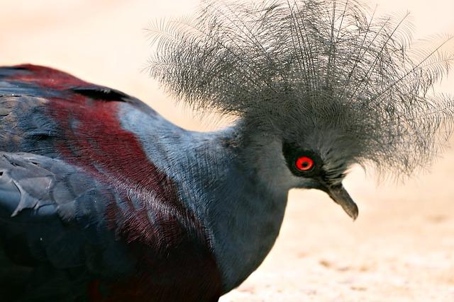 Jak získat vhled do nevědomé mysli skrze sny