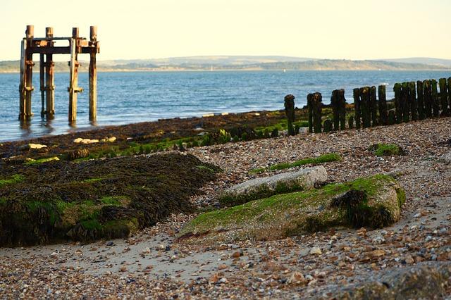 Jak lépe porozumět svým snům zahrnujícím rudé vlasy