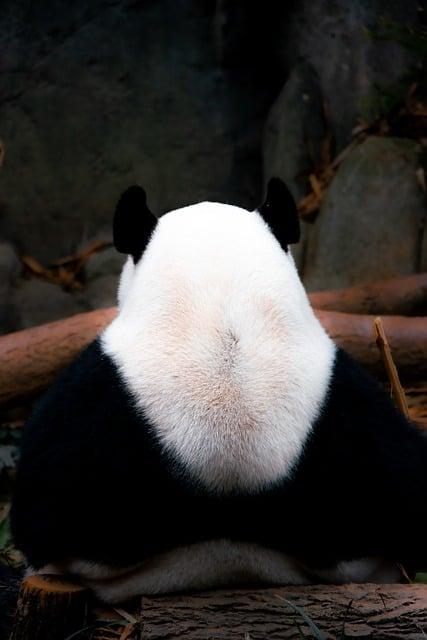 Základy Snáře Hadd