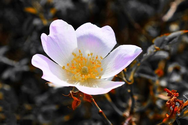 Zaměřte se na detaily a emoce ve snech