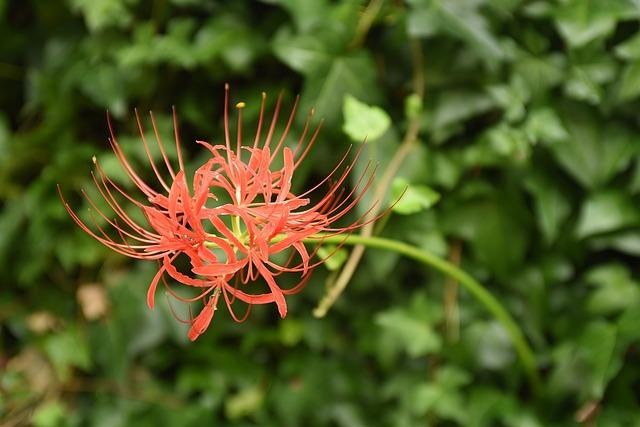 Fascinující původ snů a jeho historické kořeny